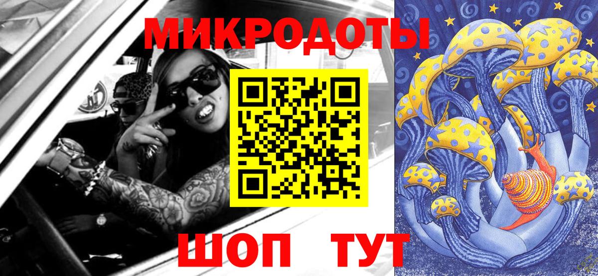 Ачхой-Мартан  Псилоцибиновые грибы Psilocybe  Вход с VPN 