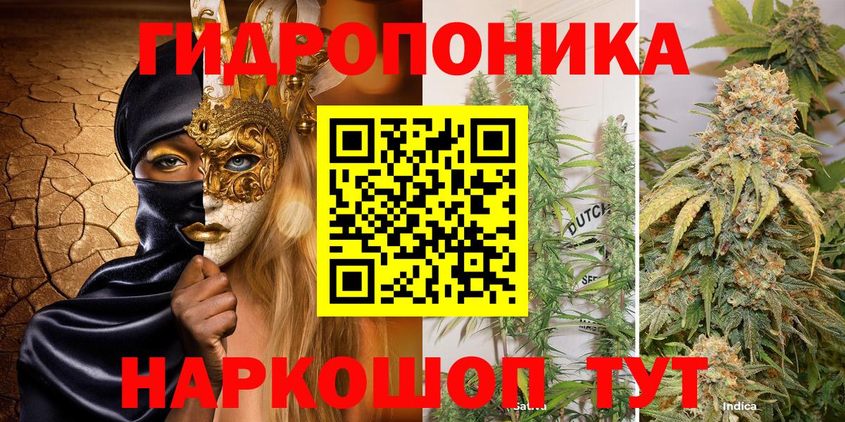 Бошки Шишки тримм  МАРИХУАНА гибрид  Вход с VPN  Канабис ГИДРОПОН  Каннабис Bruce Banner  Ачхой-Мартан 